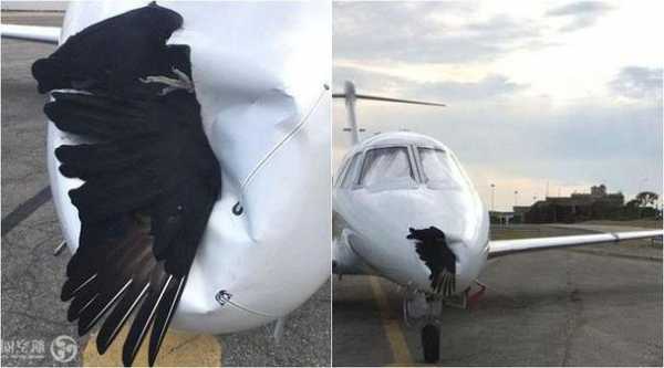厦门航空：一飞机在杭州机场机坪停场过夜被地面车辆意外刮蹭，无人员受伤
